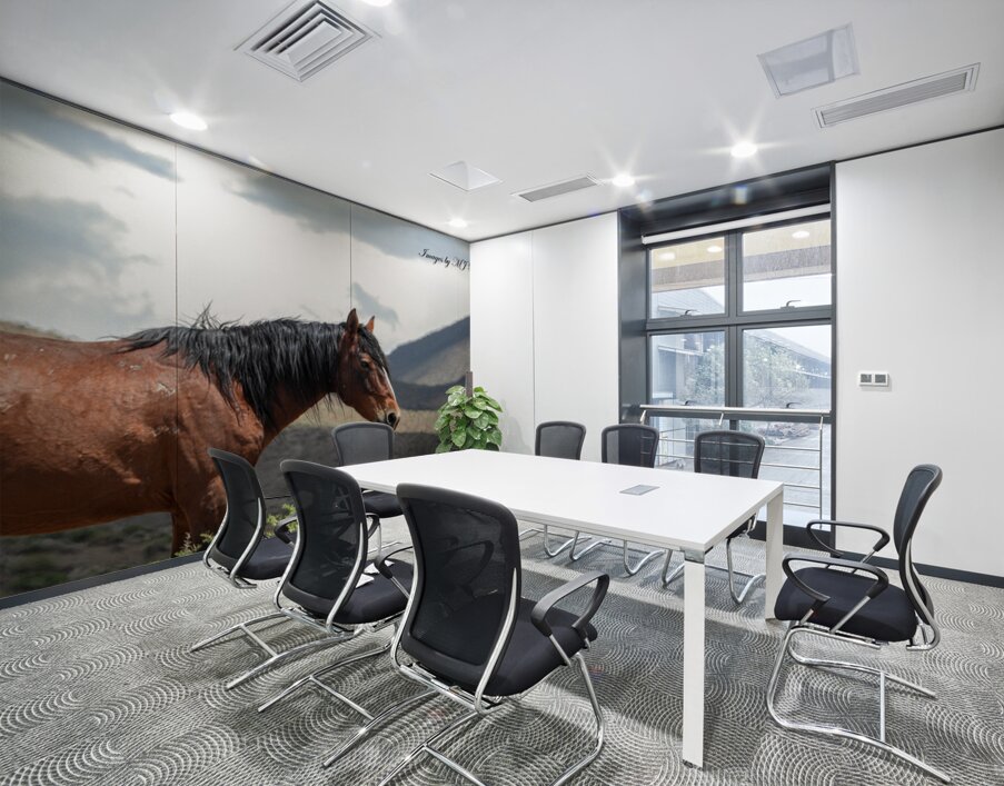 Wild  Horse Nevada Series 2 Wall Printing