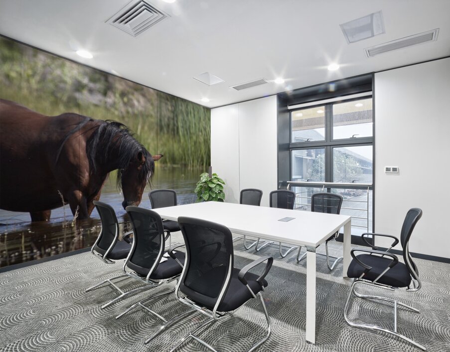 Wild Horse Nevada Series 5 Wall Printing