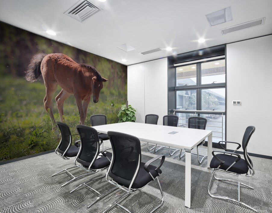 Nevada Virginia Range Series 30 Wall Printing