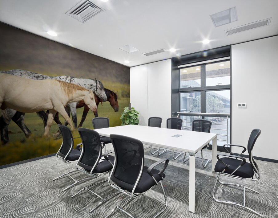 Mono Lake Wild Horse Series 1 Wall Printing