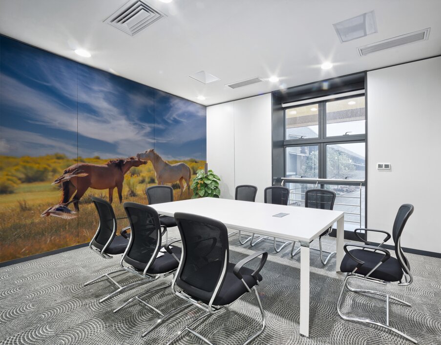 Mono Lake Wild Horse Series 1 Wall Printing