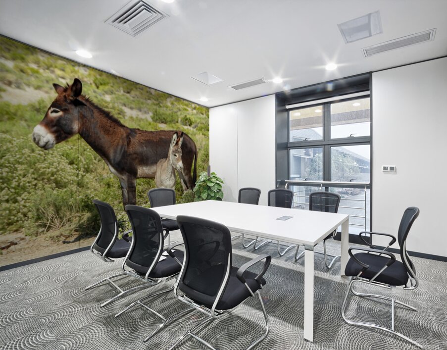 Marietta Wild Burro Range HMA 1 Wall Printing