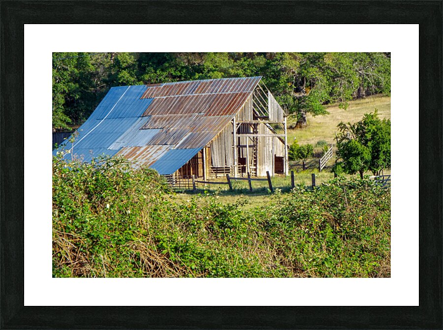 Barn Life Picture Frame print