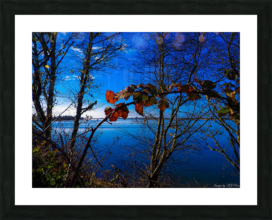 Oregon Coast 3 Picture Frame print