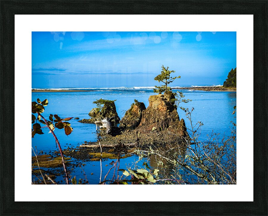 Oregon Coast 2 Picture Frame print
