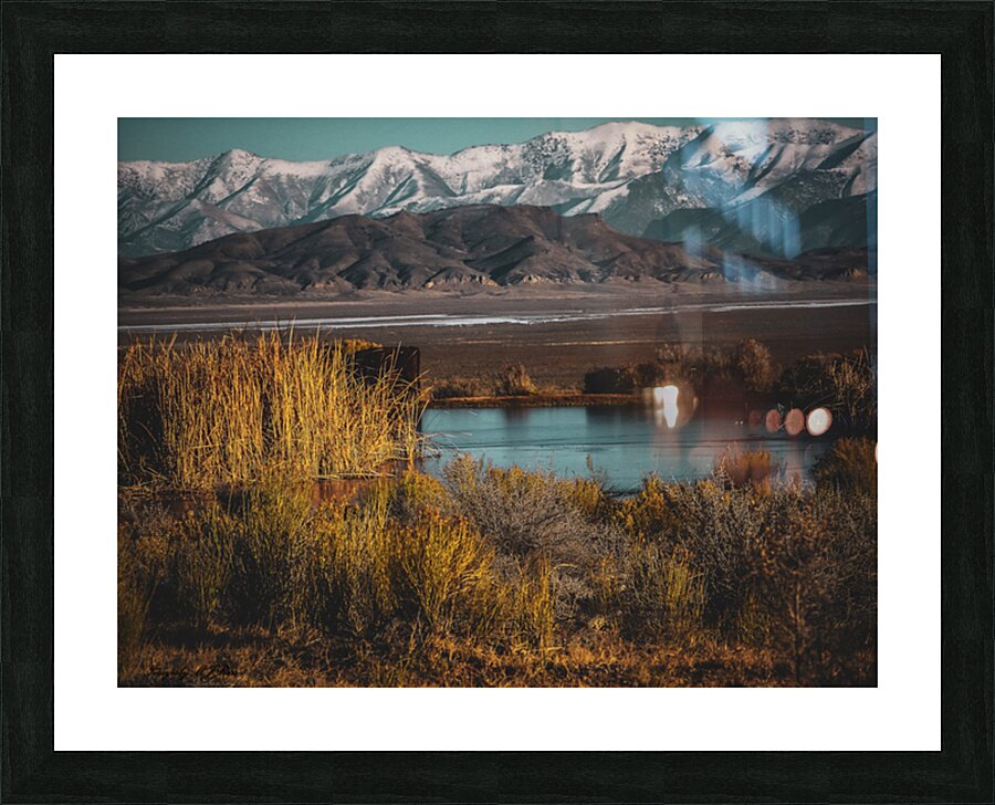Nevada Landscape 4 Picture Frame print