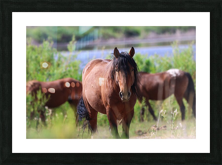 Nevada Virginia Range Series Picture Frame print