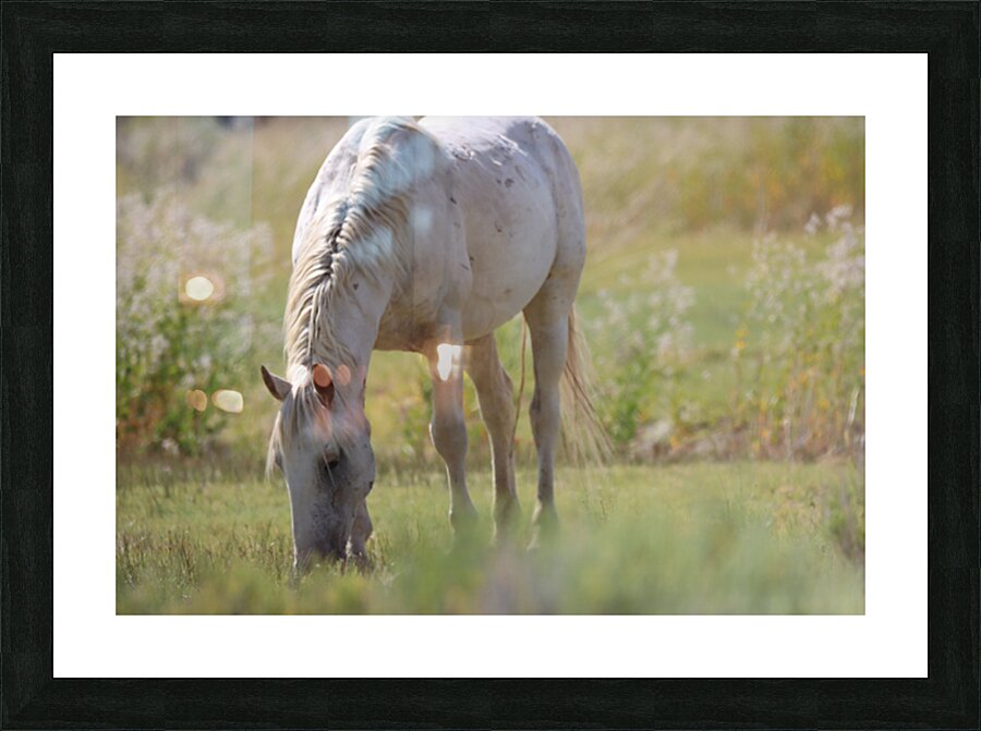 Nevada Virginia Range Series 2 Picture Frame print