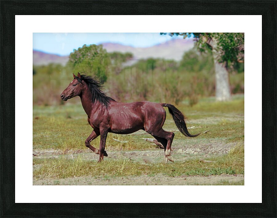 Nevada Virginia Range Series 3 Picture Frame print