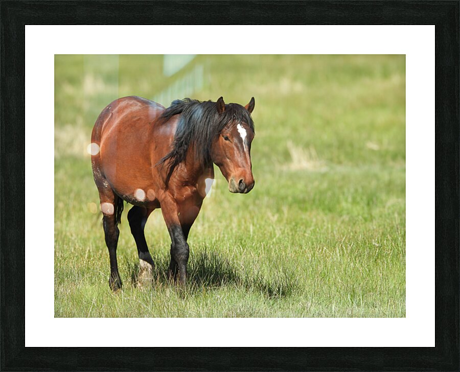 Nevada Virginia Range Series 4 Picture Frame print