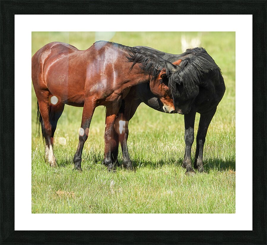 Nevada Virginia Range Series 5 Picture Frame print