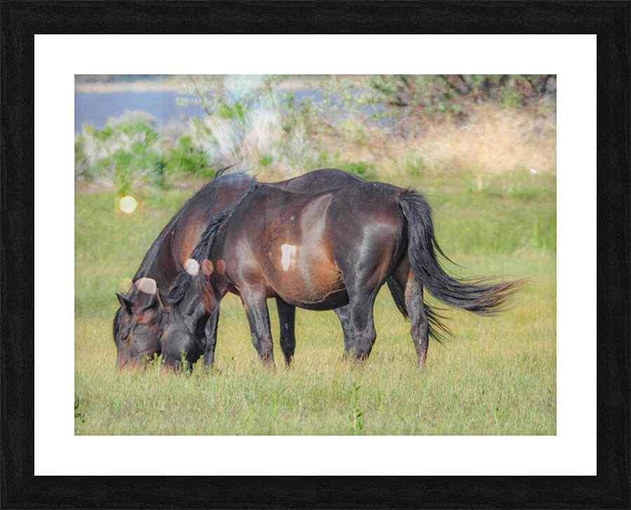 Nevada Virginia Range Series 7 Picture Frame print