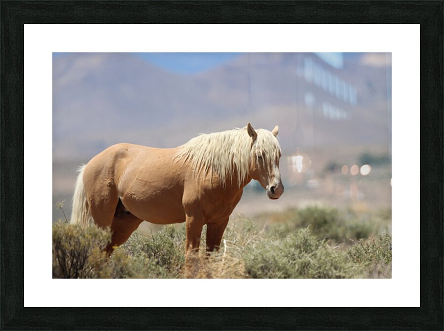 Nevada Virginia Range Series 9 Picture Frame print