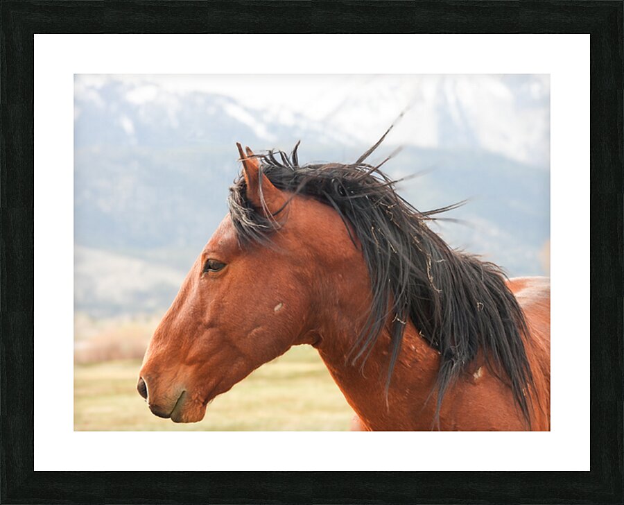 Nevada Virginia Range Series 10 Picture Frame print