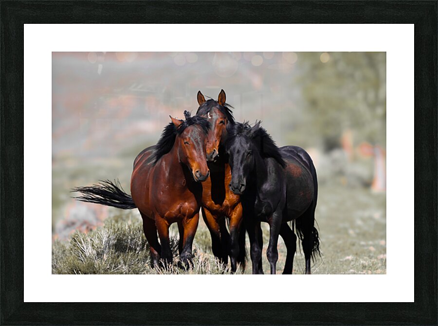 Nevada Virginia Range Series 11 Picture Frame print