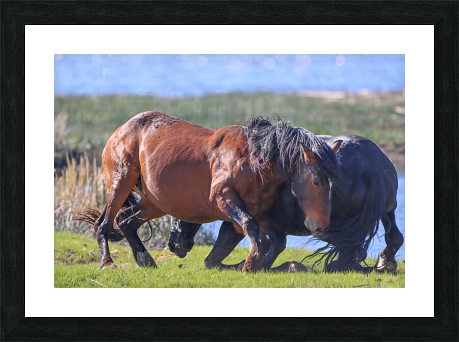 Nevada Virginia Range Series 13 Picture Frame print