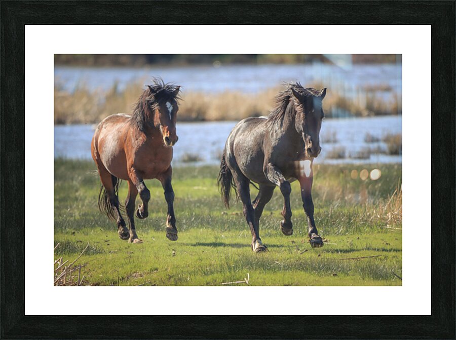 Nevada Virginia Range Series 14 Picture Frame print