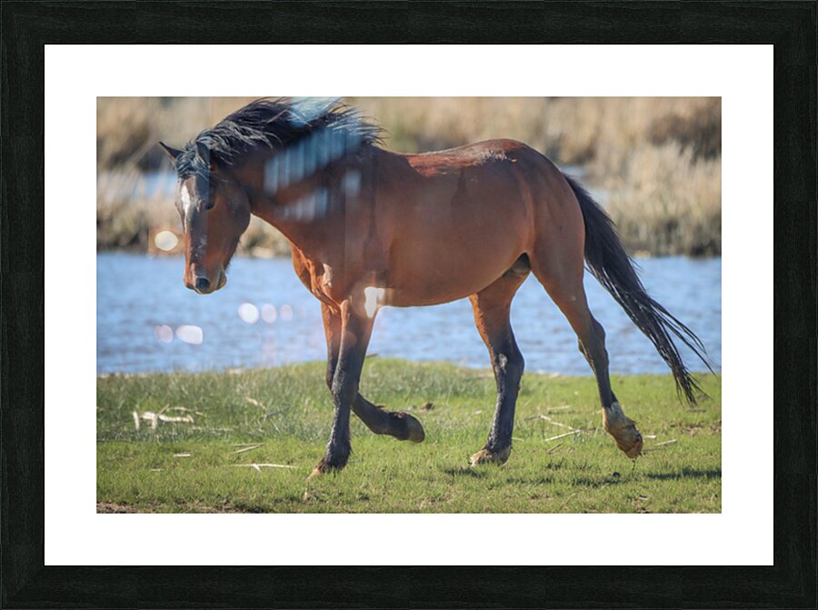 Nevada Virginia Range Series 15 Picture Frame print