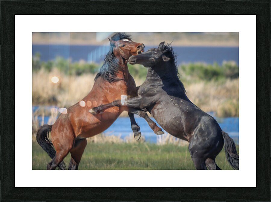 Nevada Virginia Range Series 16 Picture Frame print