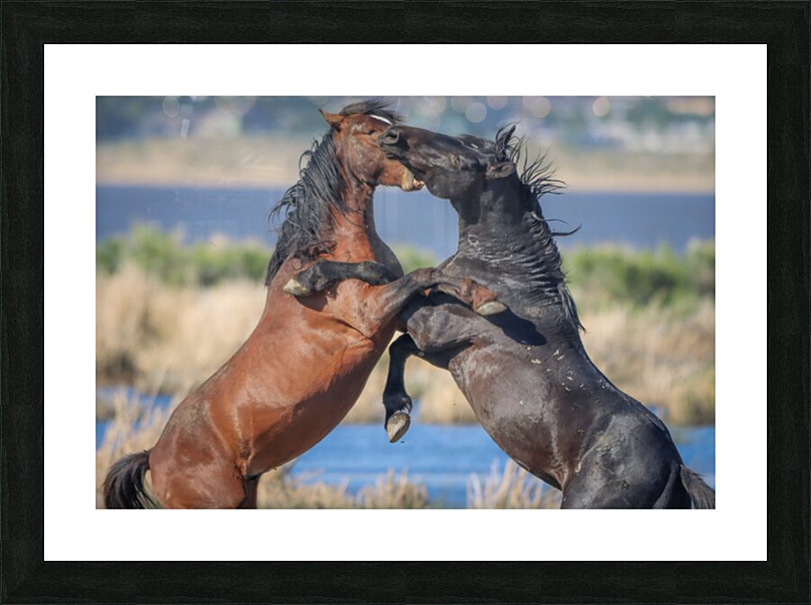 Nevada Virginia Range Series 17 Picture Frame print
