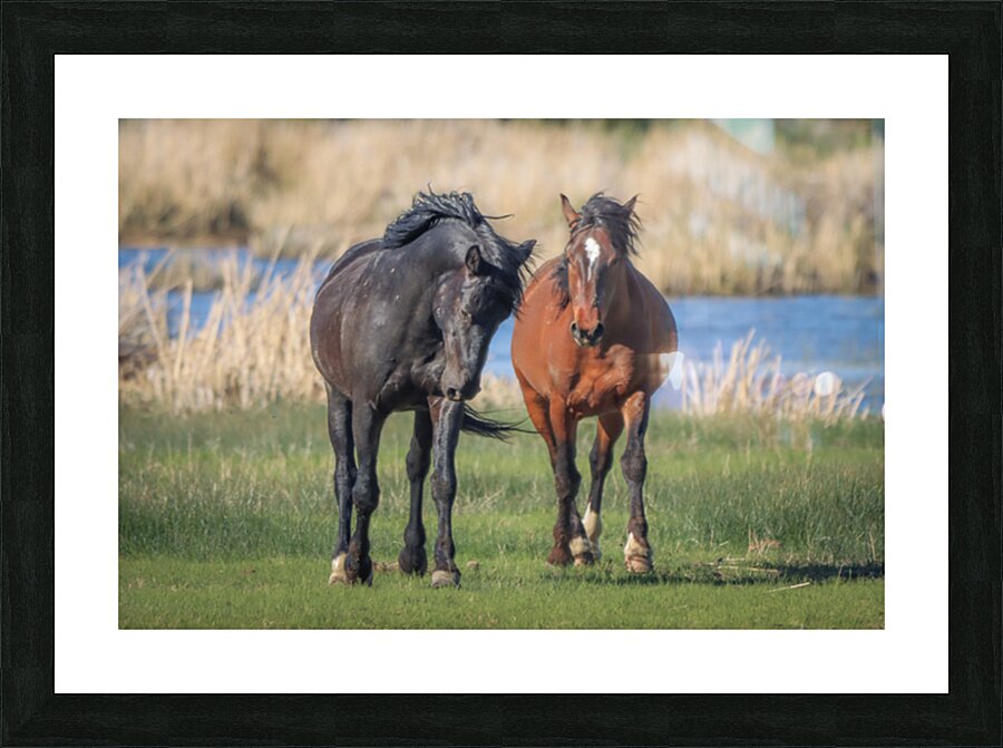 Nevada Virginia Range Series 19 Picture Frame print