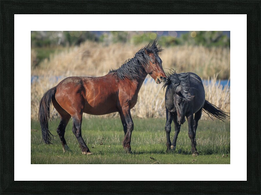 Nevada Virginia Range Series 20 Picture Frame print