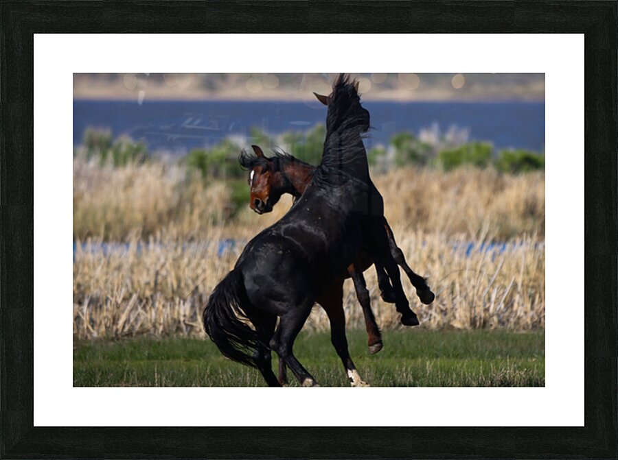 Nevada Virginia Range Series 21 Picture Frame print