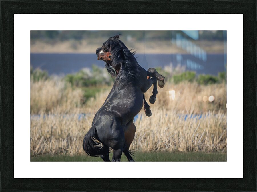 Nevada Virginia Range Series 23 Picture Frame print