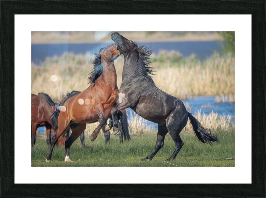 Nevada Virginia Range Series 27 Picture Frame print