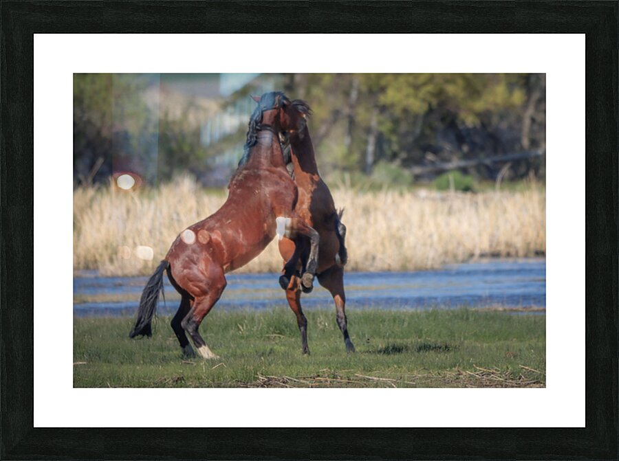 Nevada Virginia Range Series 28 Picture Frame print