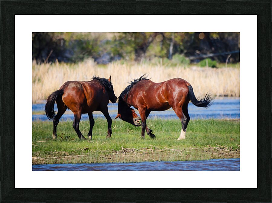 Nevada Virginia Range Series 29 Picture Frame print