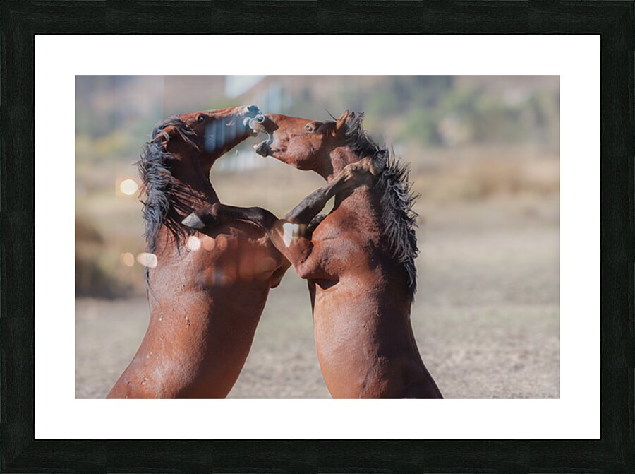 Nevada Virginia Range Series 32 Picture Frame print