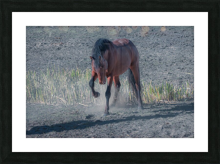 Nevada Virginia Range Series 33 Picture Frame print