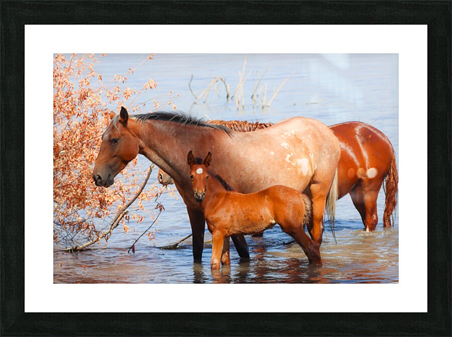 Nevada Virginia Range Series 35 Picture Frame print