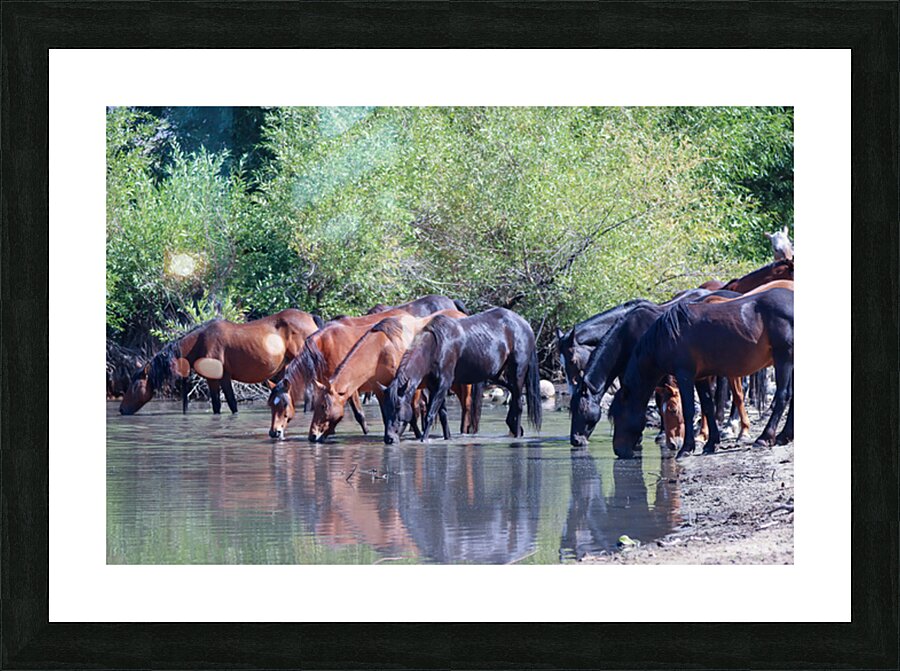 Nevada Virginia Range Series 37 Picture Frame print
