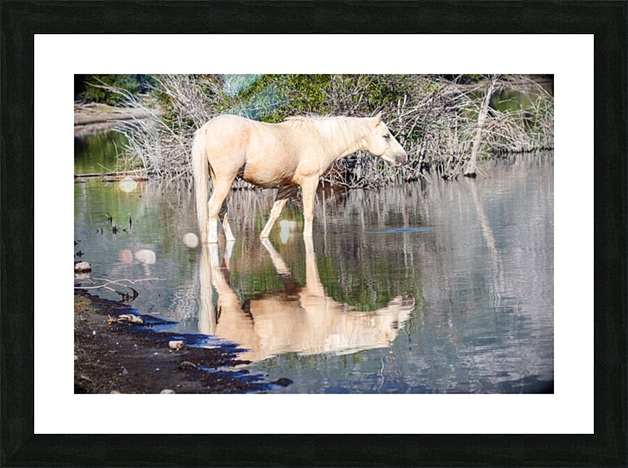 Nevada Virginia Range Series 38 Picture Frame print