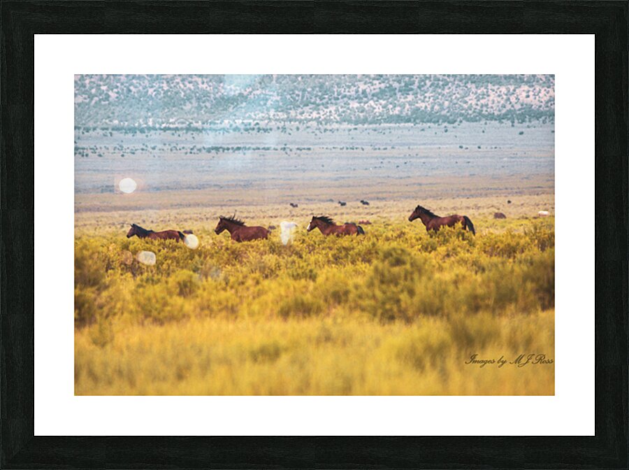 Nevada Mustang series 6 1 Picture Frame print