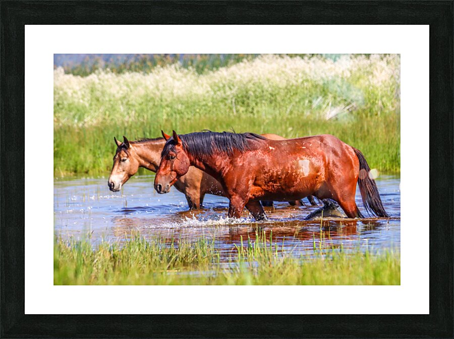 Nevada Mustang 1 2 Picture Frame print