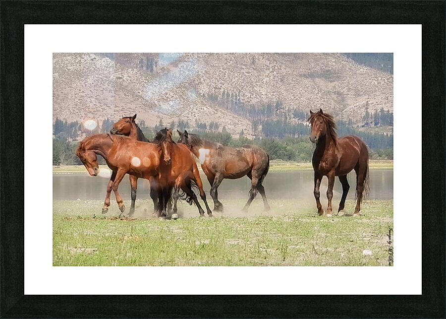 Nevada Wild 15 1 Picture Frame print
