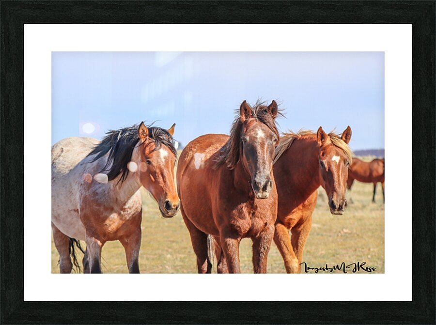 Nevada Wild 165 1 Picture Frame print