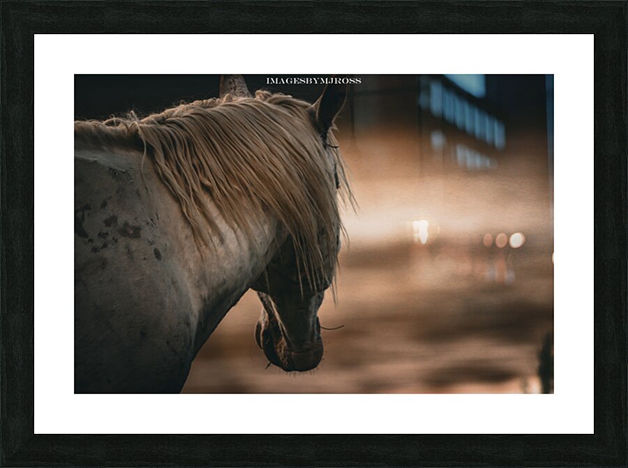 Nevada Wild 165 1 Picture Frame print