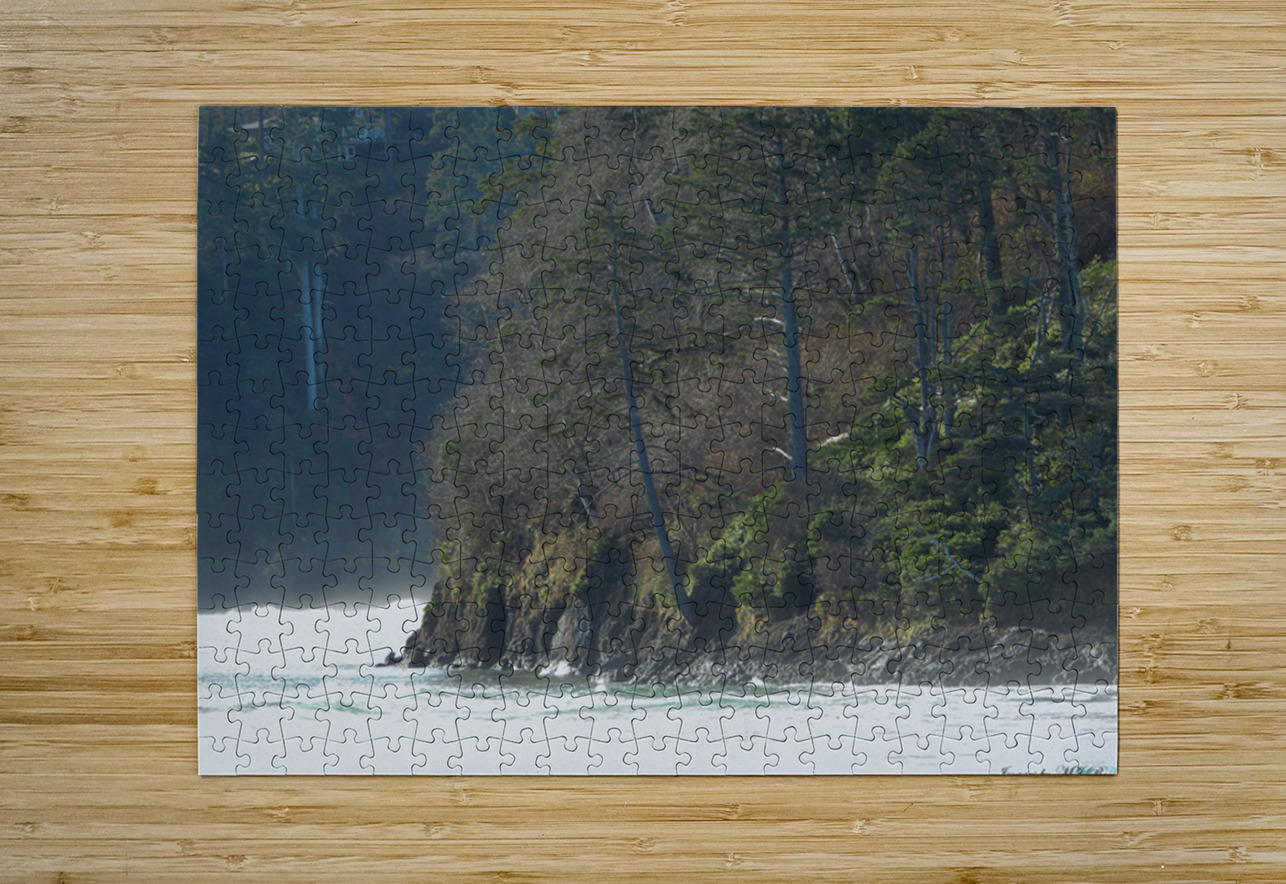 Oregon Coast 1 ImagesbyMJRoss Puzzle printing
