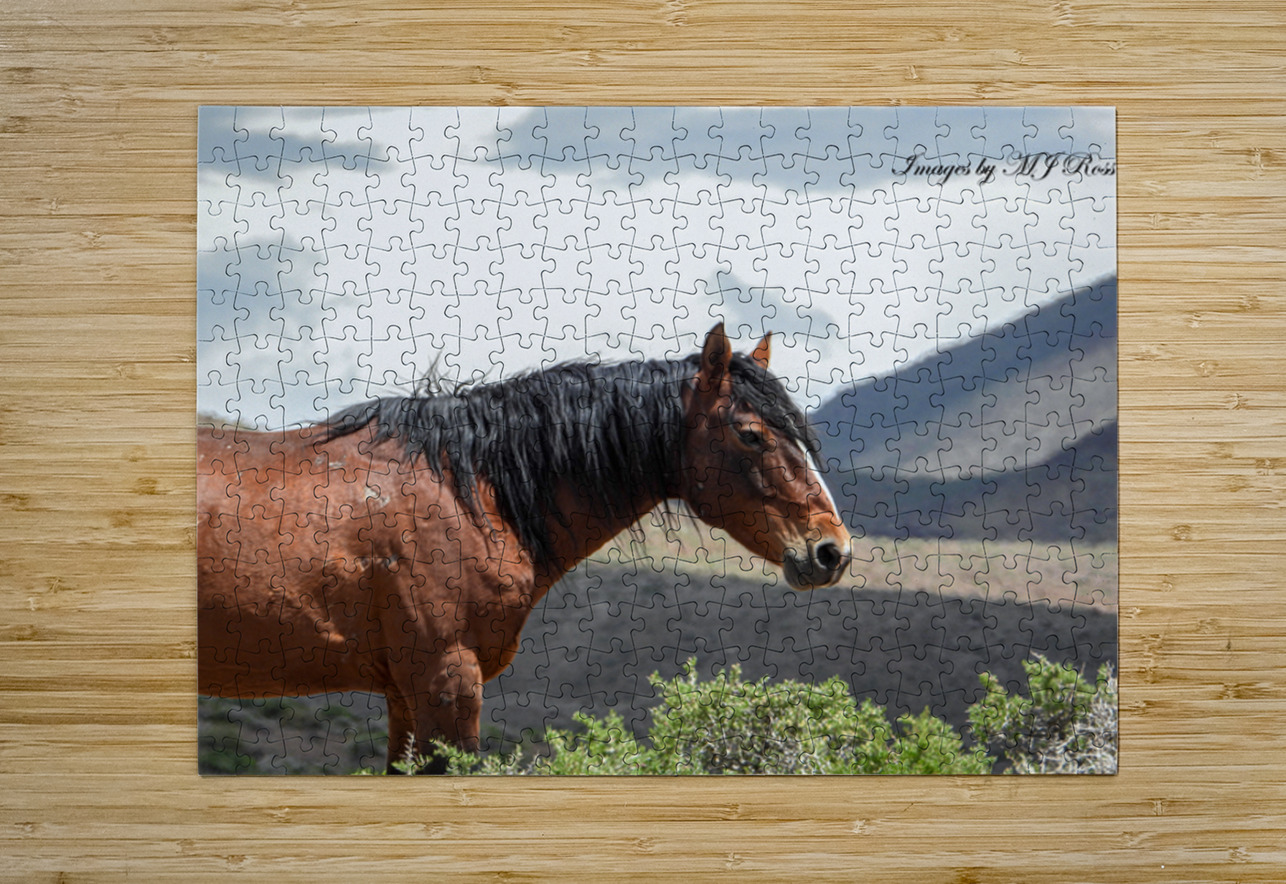 Wild  Horse Nevada Series 2 ImagesbyMJRoss Puzzle printing