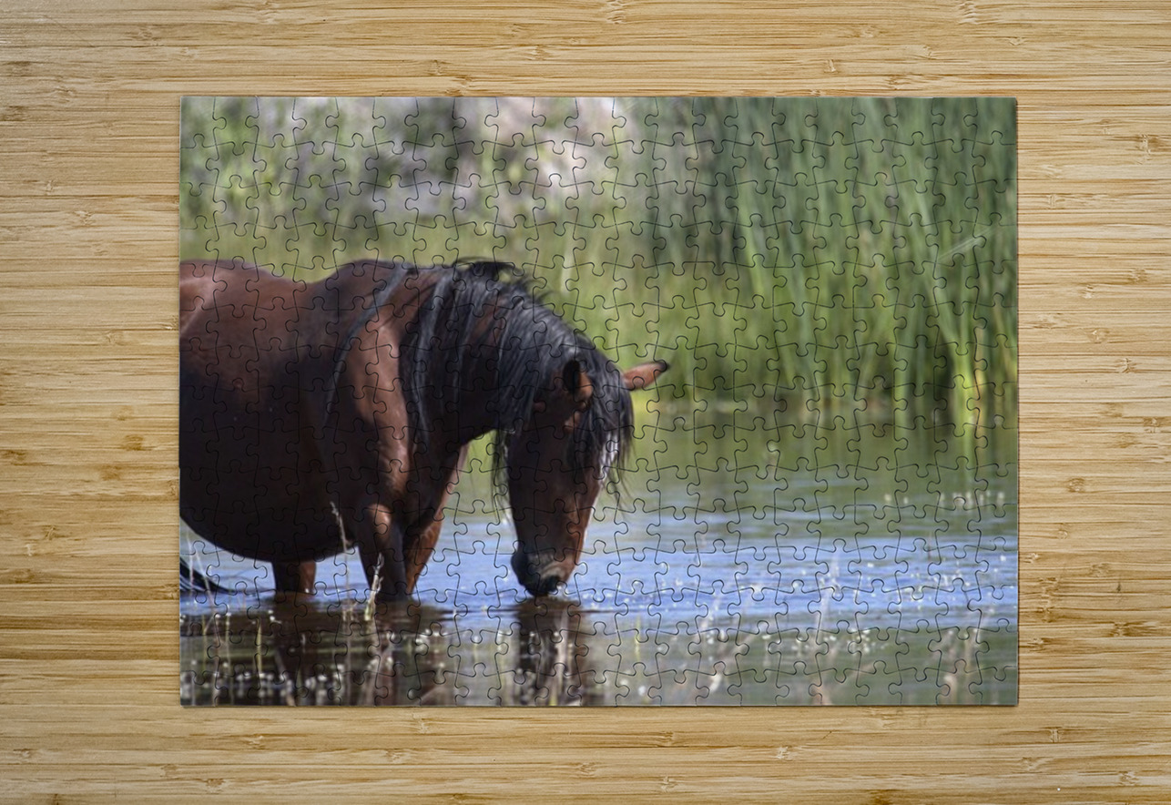 Wild Horse Nevada Series 5 ImagesbyMJRoss Puzzle printing