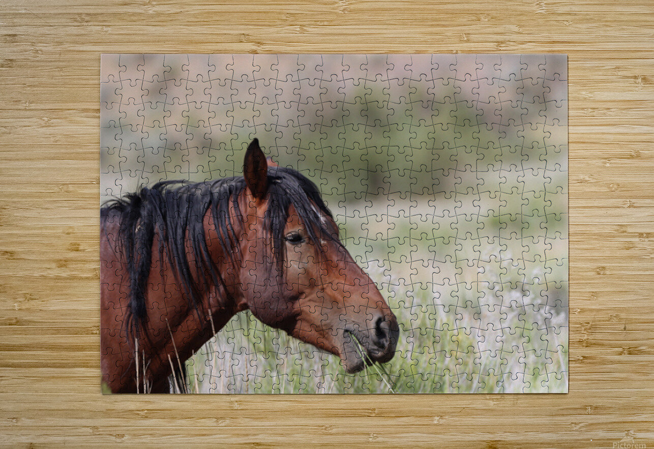Nevada Virginia Range Series 1 ImagesbyMJRoss Puzzle printing