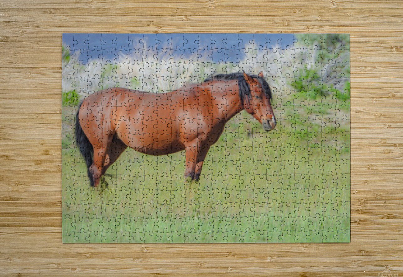 Nevada Virginia Range Series 8 ImagesbyMJRoss Puzzle printing