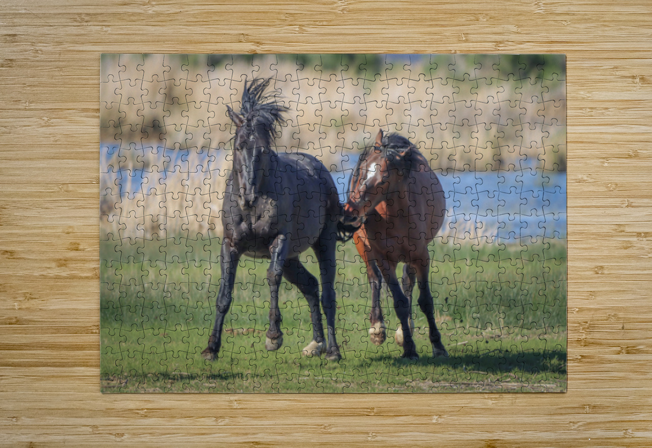 Nevada Virginia Range Series 18 ImagesbyMJRoss Puzzle printing