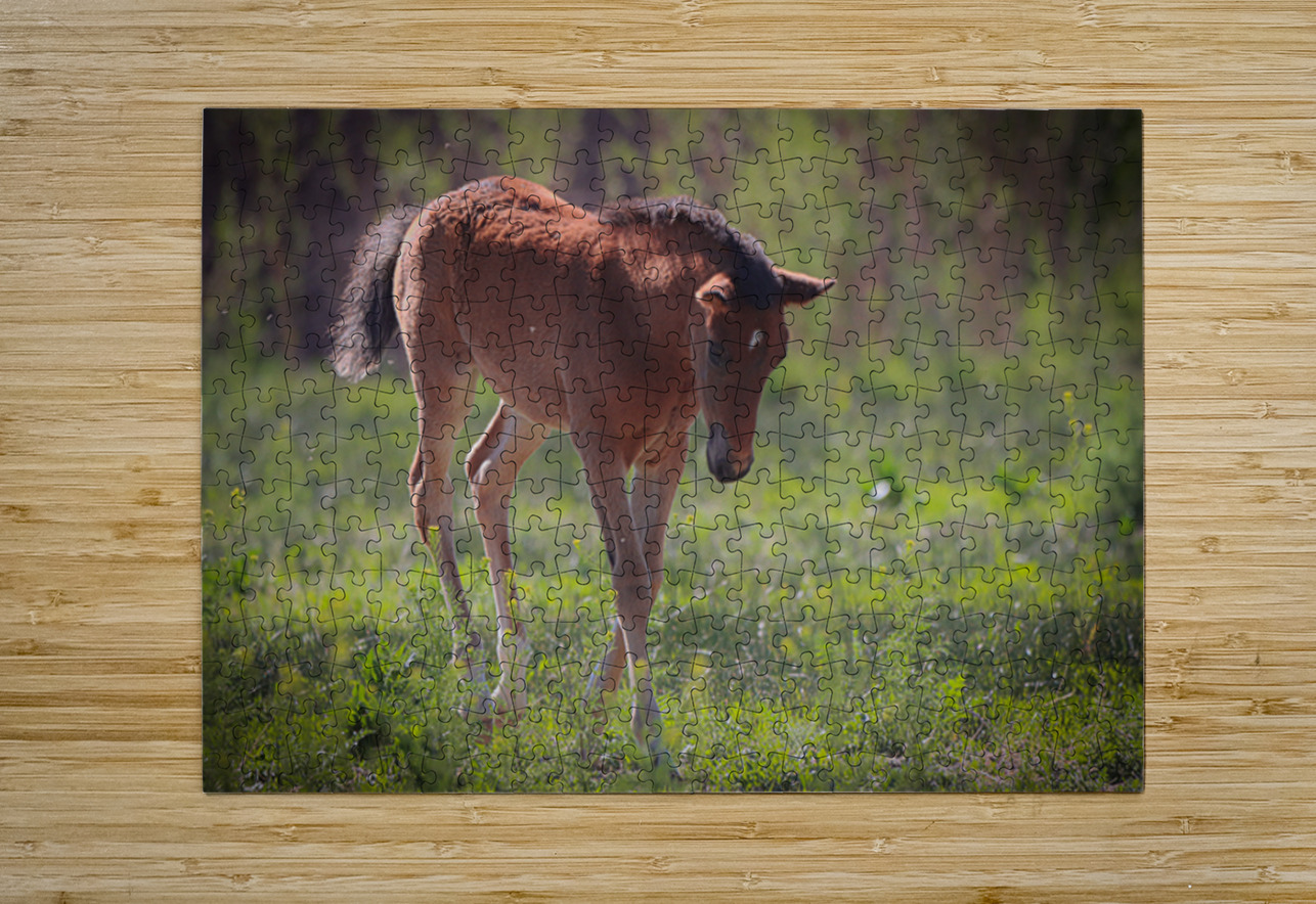 Nevada Virginia Range Series 30 ImagesbyMJRoss Puzzle printing