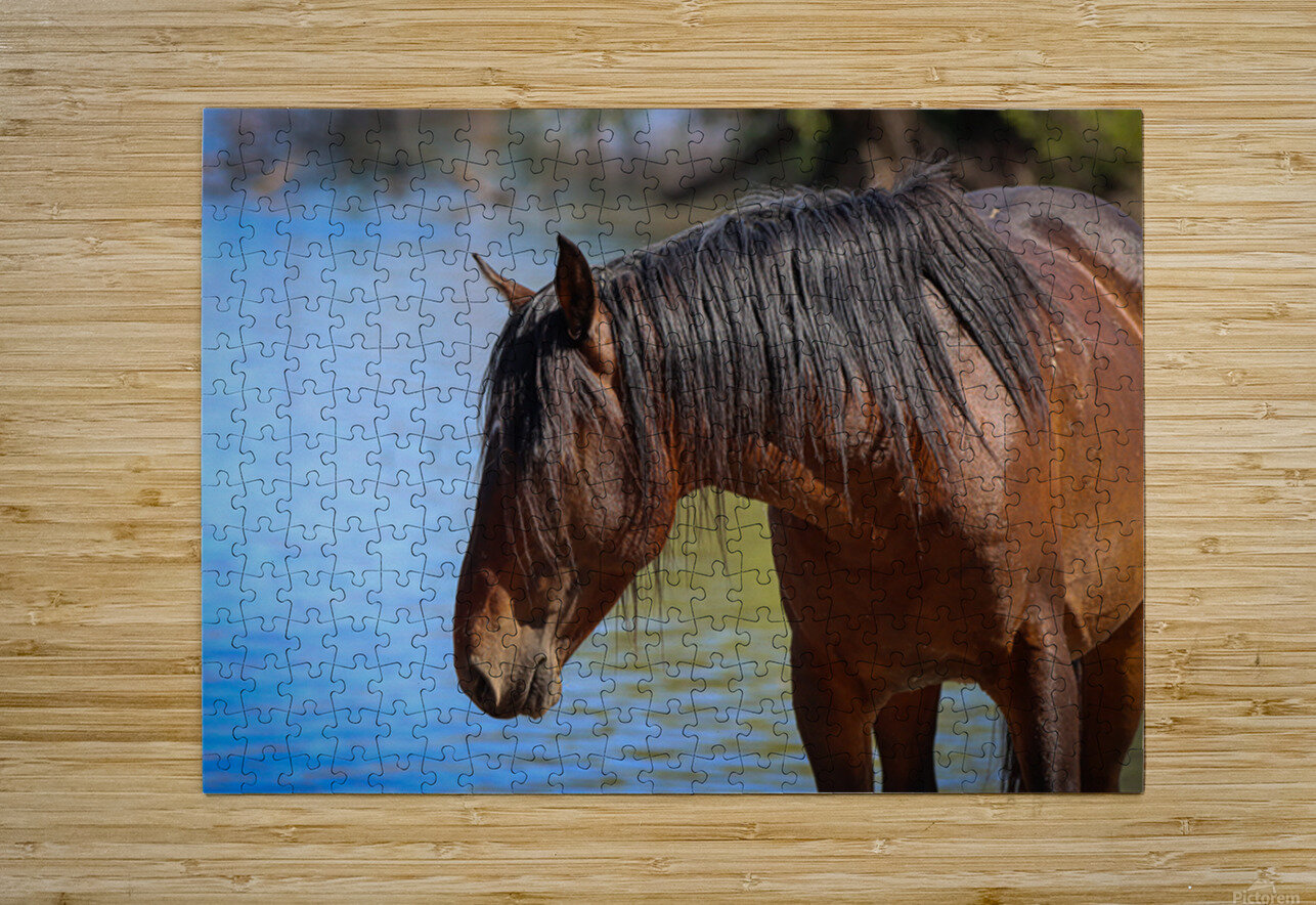 Nevada Virginia Range Series 36 ImagesbyMJRoss Puzzle printing