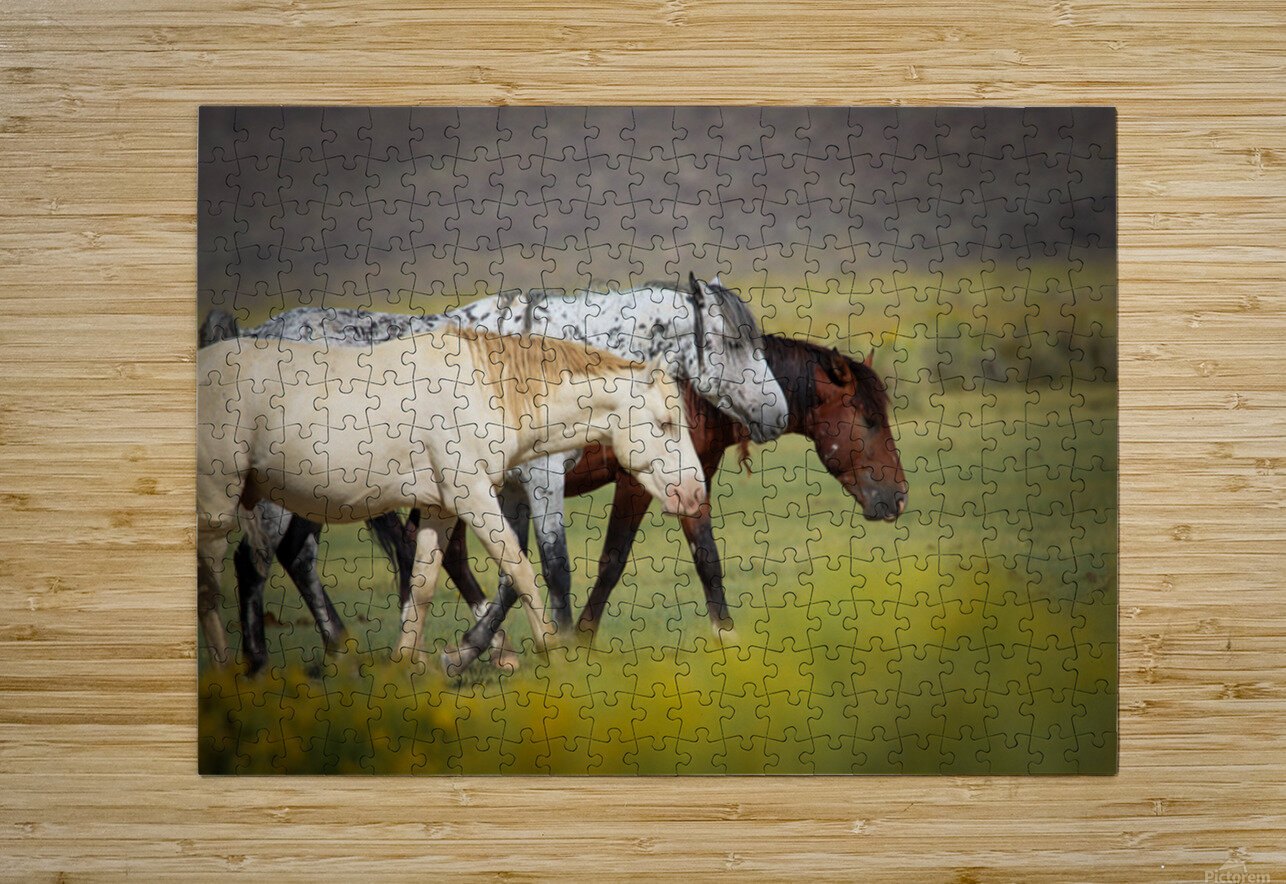 Mono Lake Wild Horse Series 1 ImagesbyMJRoss Puzzle printing